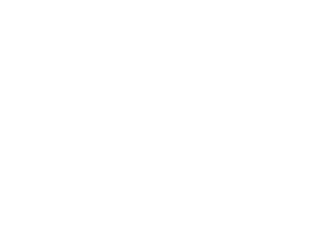 Walrus Design